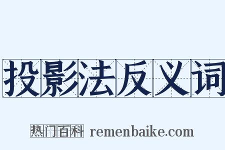 投影法反义词是什么意思的图片